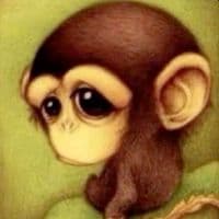 TikTok Account - el.monkey.solitar