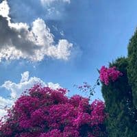 TikTok Account - nephophile22nepho