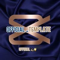 TikTok Account - officialtemplate1