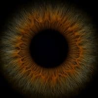 TikTok Account - eliff.v0