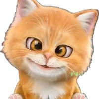 TikTok Account - babyquinvn