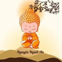 TikTok Account - nguyennguoiann