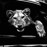 TikTok Account - ed1tzxalbos