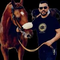 TikTok Account - horse_3lovers