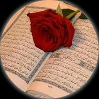 TikTok Account - s8908866