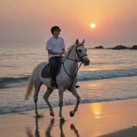 TikTok Account - o11.ibooo_