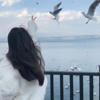 TikTok Account - zoma699