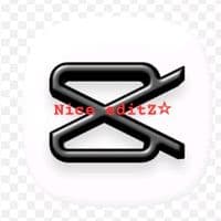 TikTok Account - the_nice_editor