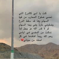 TikTok Account - uselnylsy