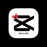 TikTok Account - mischashin