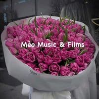 TikTok Account - meo_meu