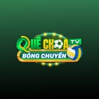 TikTok Account - quechoatv.bongchuyen