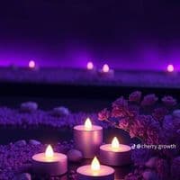 TikTok Account - nomkhithahlwayi