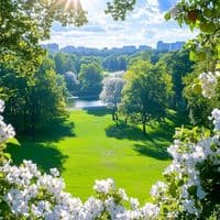 TikTok Account - natures.magic40