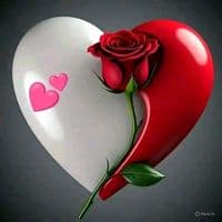 TikTok Account - yessica.199410