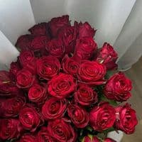 TikTok Account - aysuneva