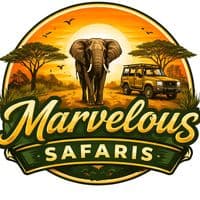 TikTok Account - marvelous_safaris