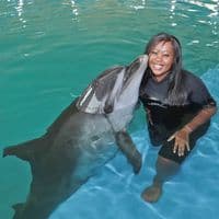 TikTok Account - dr.mrs.mom