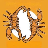 TikTok Account - madondo.sk