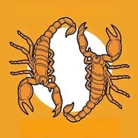 TikTok Sound - original sound - madondo.sk