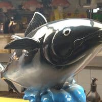 TikTok Account - user96614775324661