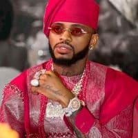 TikTok Account - wasafi.reels