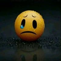 TikTok Account - nepla675