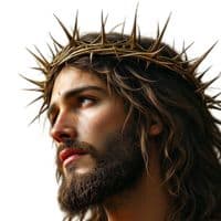 TikTok Account - romilshawqy