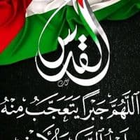 TikTok Account - wael.s60