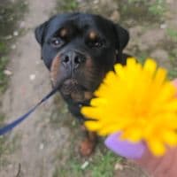 TikTok Account - crmariitza