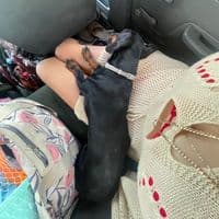 TikTok Account - camilacruz26_