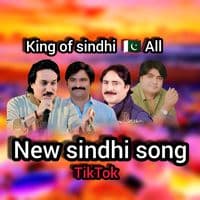 TikTok Account - new.sindhi.song7