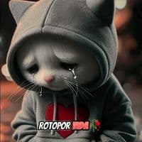 TikTok Account - rotoporvida