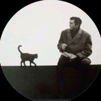 TikTok Account - unbriev