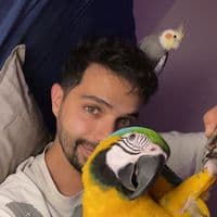 TikTok Account - cookie.birds