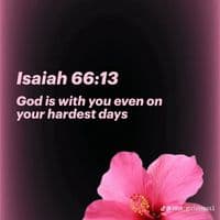 TikTok Account - melisa61881