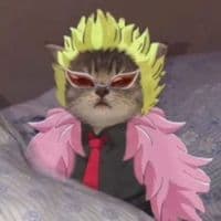 TikTok Account - of_paladhina