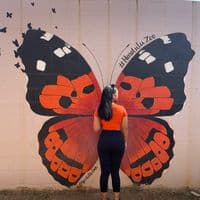 TikTok Account - hipi.kana