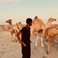 TikTok Account - mengela07