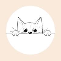 TikTok Account - introve12t