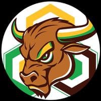 TikTok Account - blockchaiinbullhorn2.o