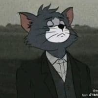 TikTok Account - ._mr_nobody_xviii