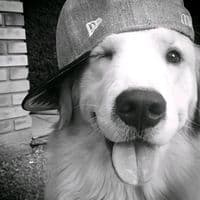 TikTok Account - lii86176