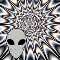 TikTok Account - s_d_10.dora