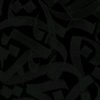 TikTok Account - joel_andrr3