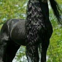 TikTok Account - delice_eser