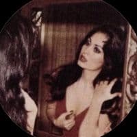 TikTok Account - ci.511l