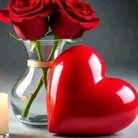 TikTok Account - __26sulymn26__