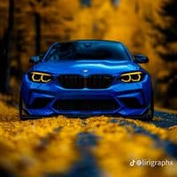 TikTok Account - alier563