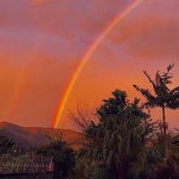 TikTok Account - __oovvhyhn__